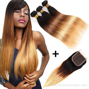 Ombre Brazilian Straight Hair Ombre Bundles With Closure, 3 Ombre Hair Bundles With Lace Closure T1b/4/27